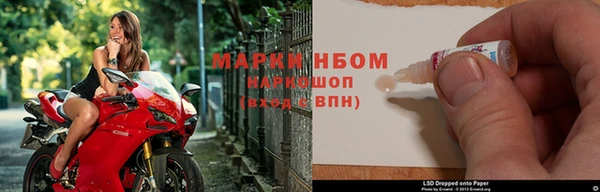 гашик Арсеньев