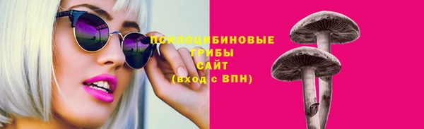 гашик Арсеньев