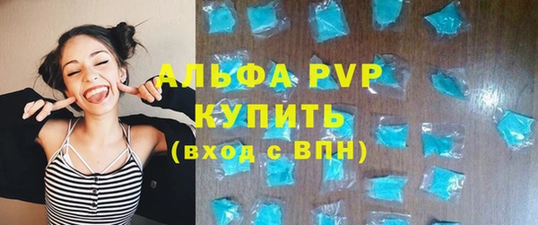 гашик Арсеньев