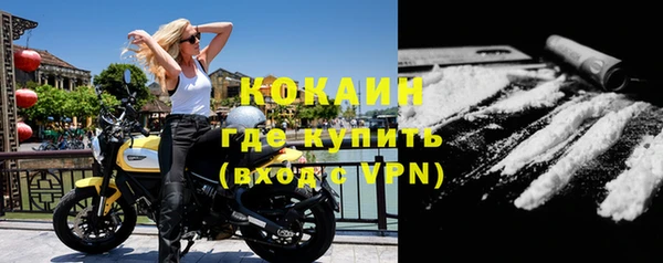 гашик Арсеньев