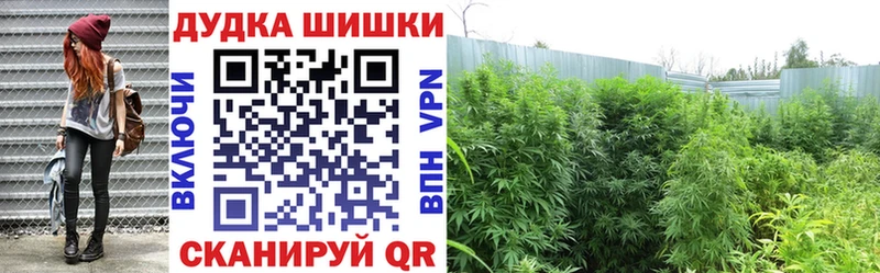 Канабис VHQ  сколько стоит  Лодейное Поле 